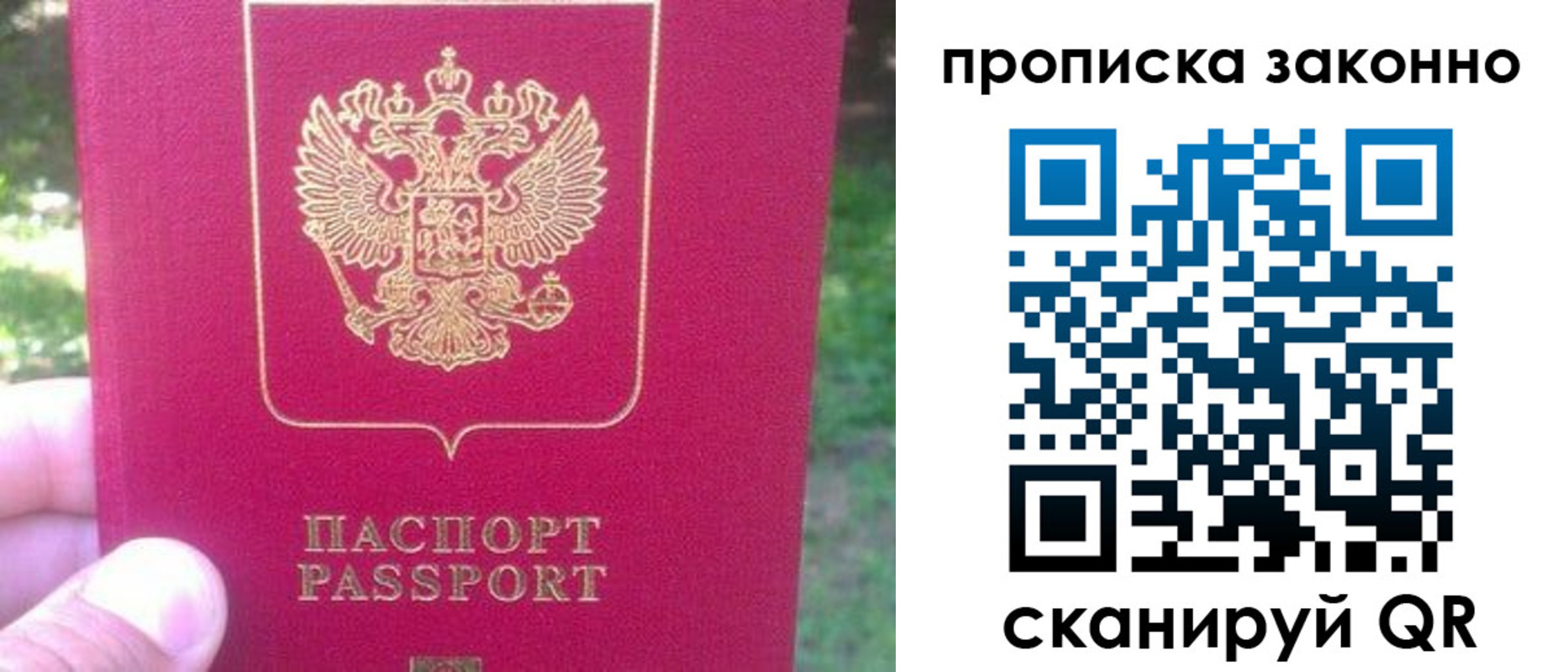 временная прописка в Сланцах